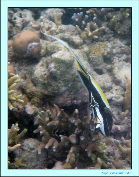 2009   07   Matakin 12